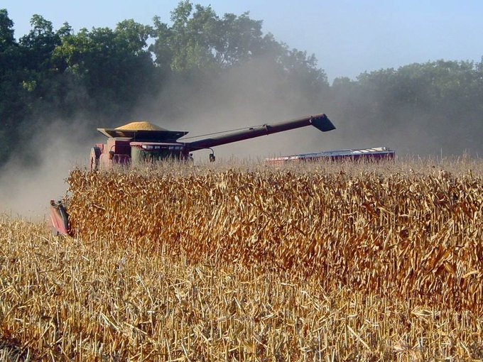 Ukraina ir sākusi kult!