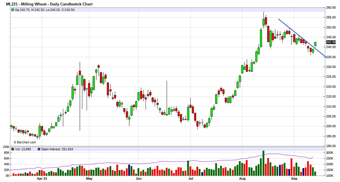 Kvieši pārkāpj trendu