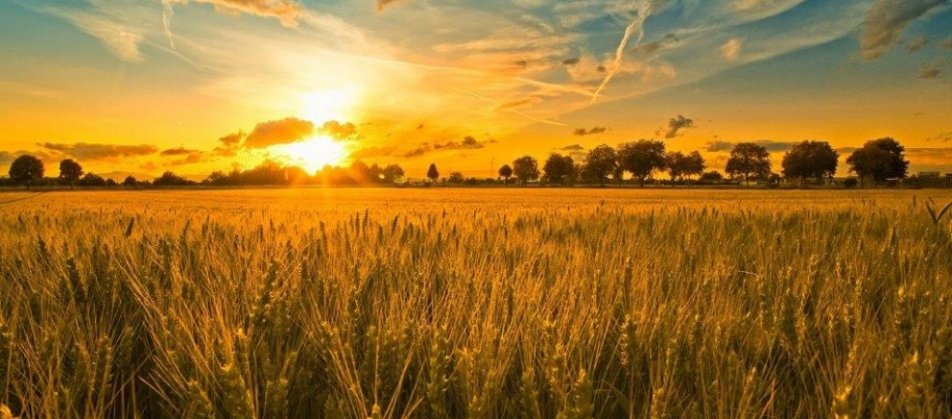 Raža vēl mazāka nekā domāja!